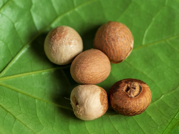 Betel Nut