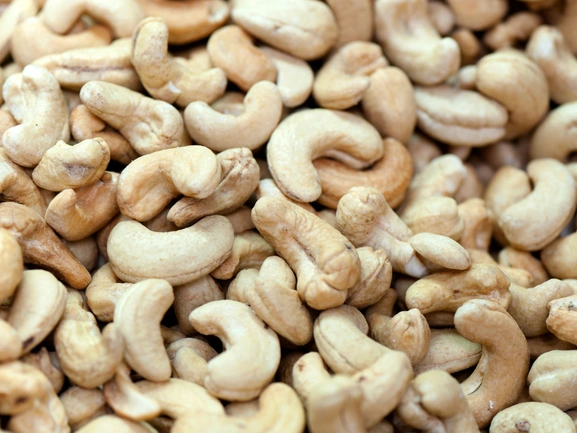 Cashew Nut