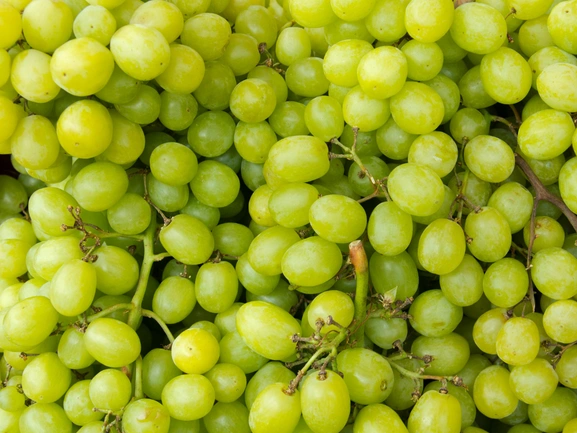 Grapes